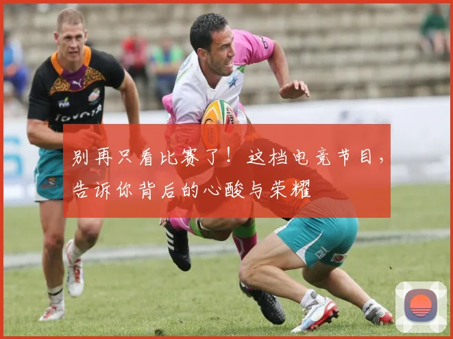 别再只看比赛了！这档电竞节目，告诉你背后的心酸与荣耀