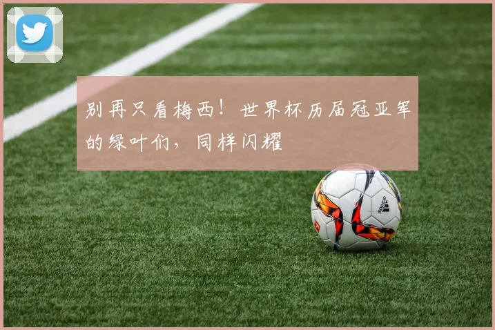 别再只看梅西!世界杯历届冠亚军的绿叶们,同样闪耀