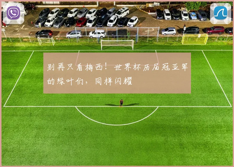别再只看梅西！世界杯历届冠亚军的绿叶们，同样闪耀