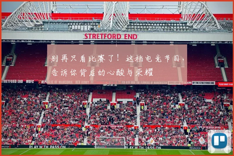 别再只看比赛了!这档电竞节目,告诉你背后的心酸与荣耀